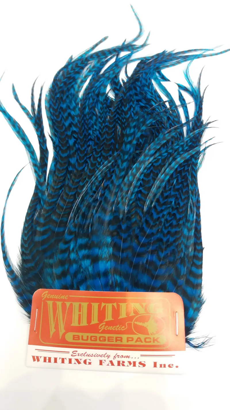 Whiting Bugger Pack in Grizzly Dyed Kingfisher Blue-1